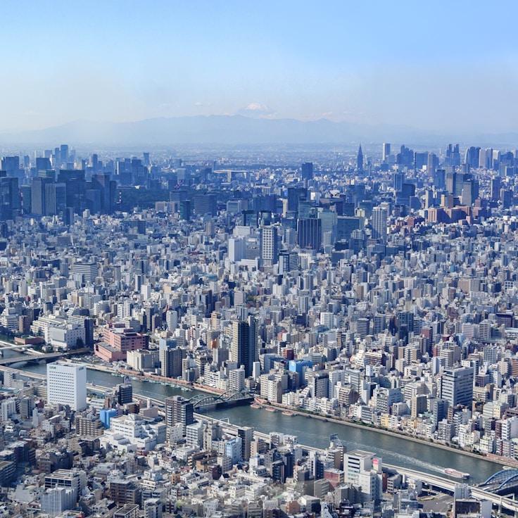 Family routine and school logistics in Toronto